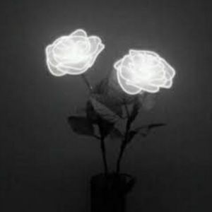 Meet your Posher, Daniela